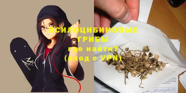 2c-b Бородино