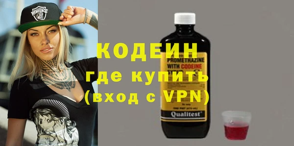 2c-b Бородино