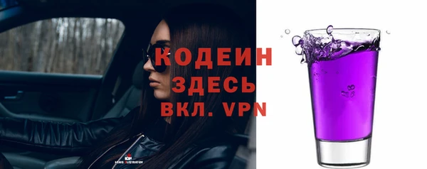 2c-b Бородино