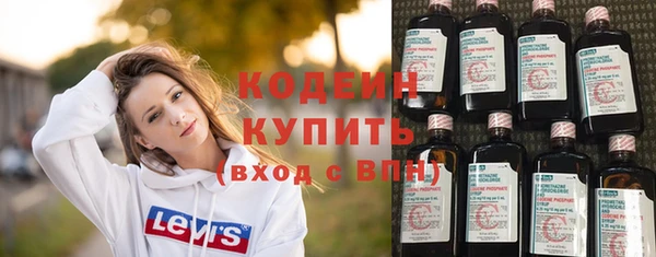 2c-b Бородино