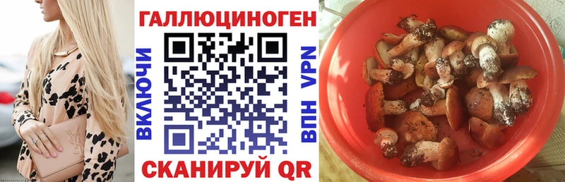 Галлюциногенные грибы Cubensis  Колпашево 
