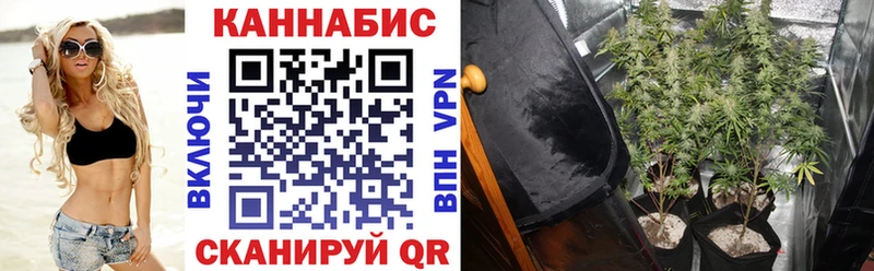 магазин    Колпашево  Бошки Шишки ГИДРОПОН 